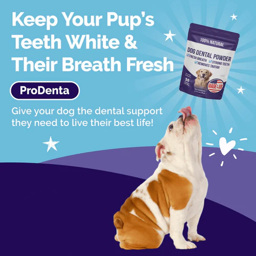 Ryzer Dog Dental Powder